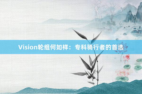 Vision轮组何如样：专科骑行者的首选